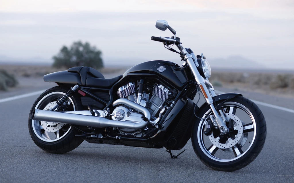 Harley Davidson VRSCF V-Rod Muscle (2016 - 2017)