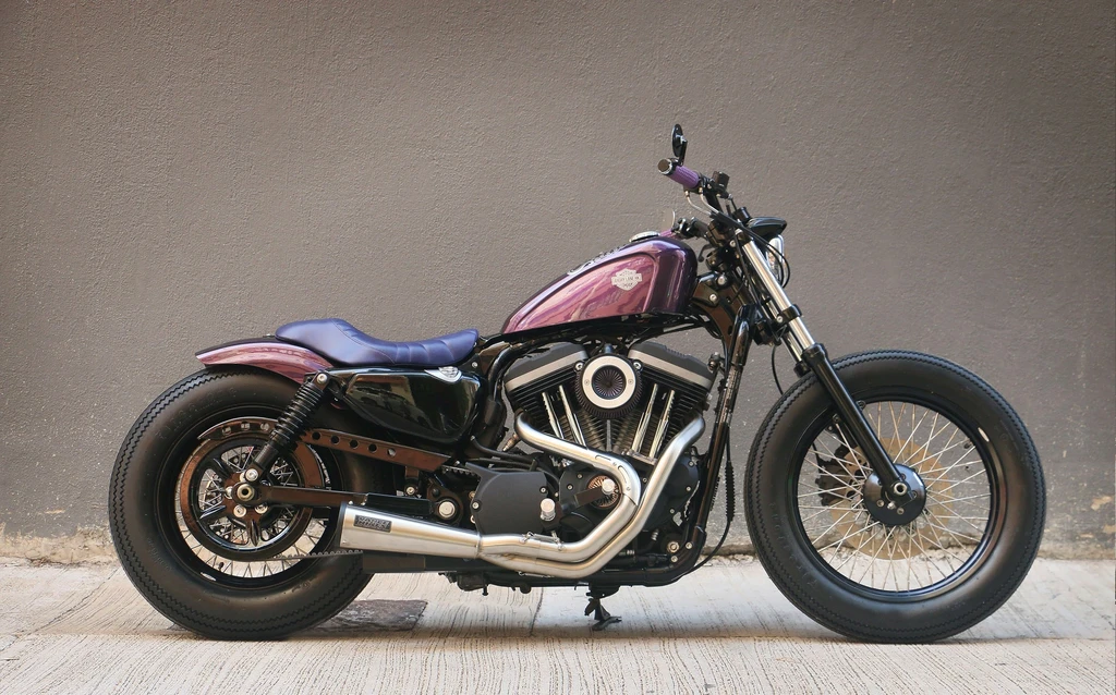 Harley Davidson Sportster Custom (2018 - 2019)