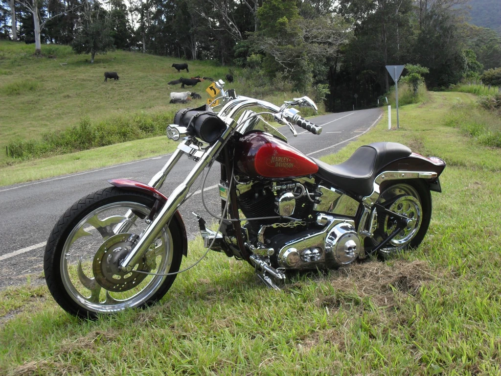 Harley Davidson FXSTC 1340 Softail Custom (1986)