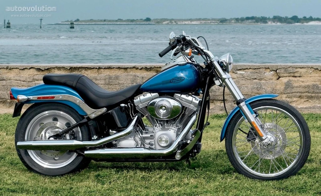 Harley Davidson FXST/I Softail Standard (2002 - 2004)