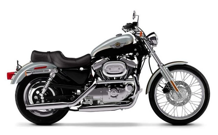 Harley Davidson XL 1200C Sportster Custom (2002 - 2003)