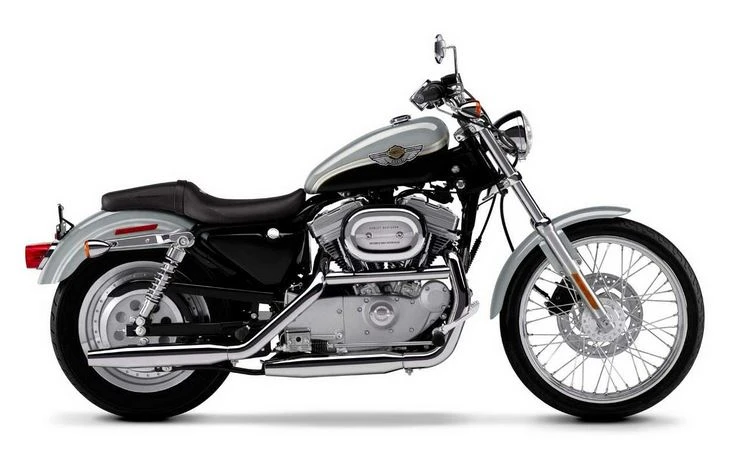 Harley Davidson XL 883C Sportster Custom (2002 - 2003)
