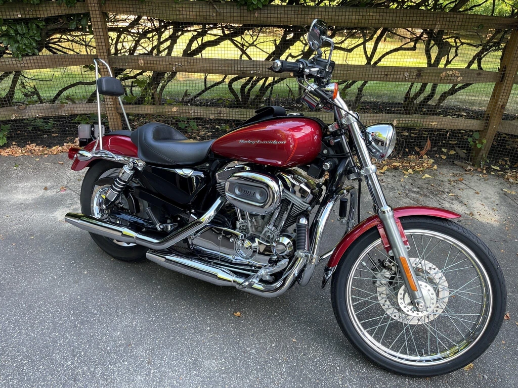 Harley Davidson XL 883C Sportster Custom (2004 - 2005)