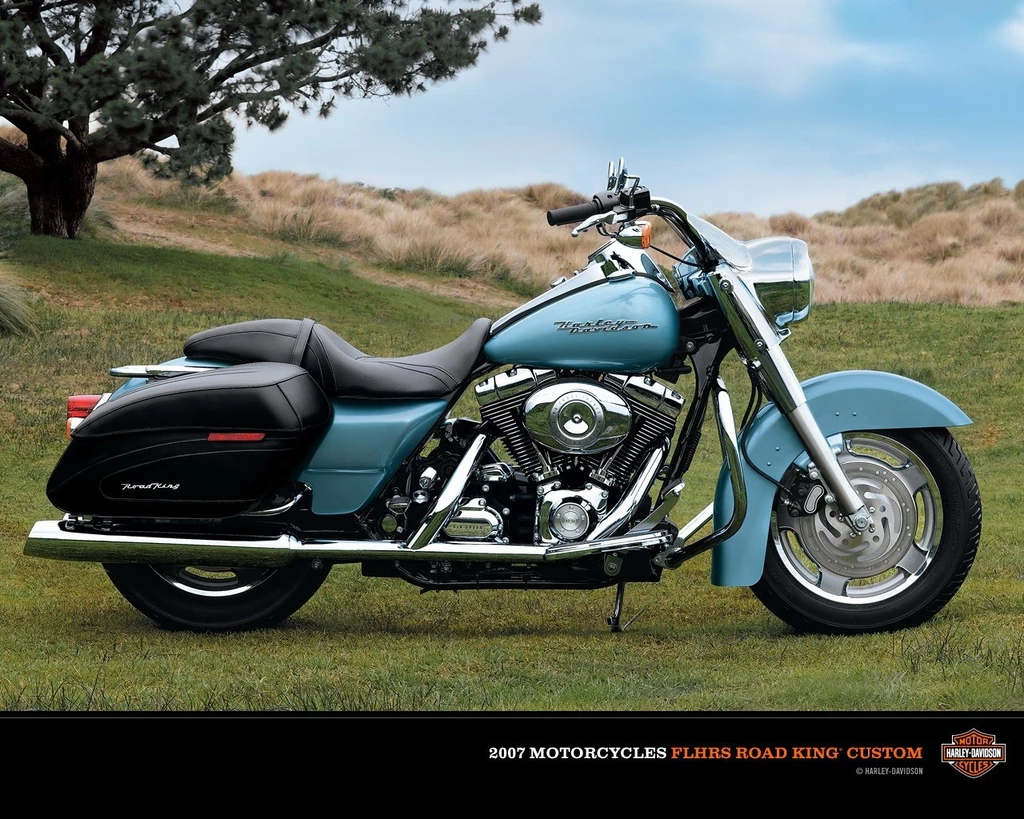 Harley Davidson FLHRS Road King Custom (2007)