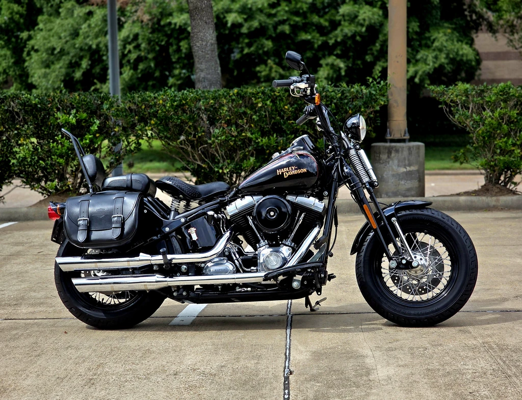 Harley Davidson FLSTSB Softail Cross Bones (2008 - 2009)