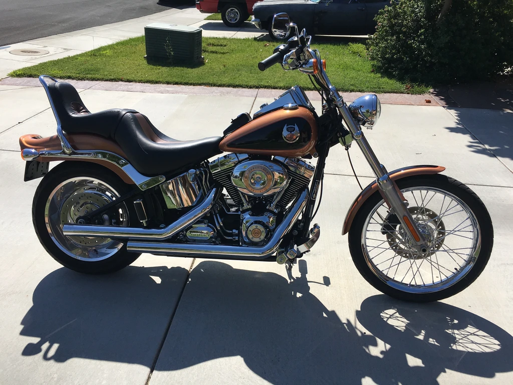 Harley Davidson FXSTC Softail Custom ANV 105th Anniversary (2008)