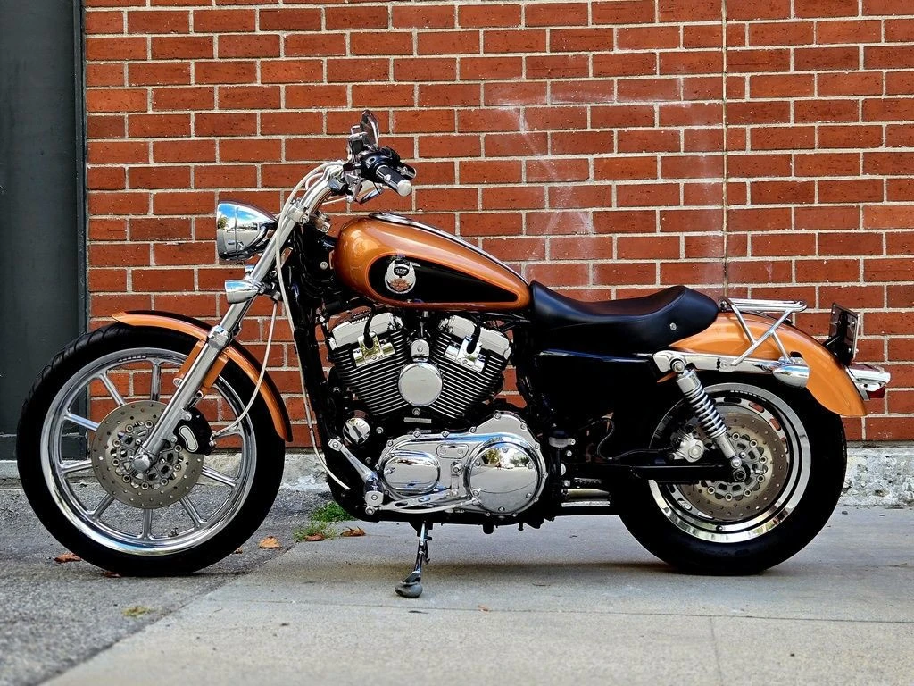 Harley Davidson XL 1200C Sportster Custom 105th Anniversary Edition (2008)