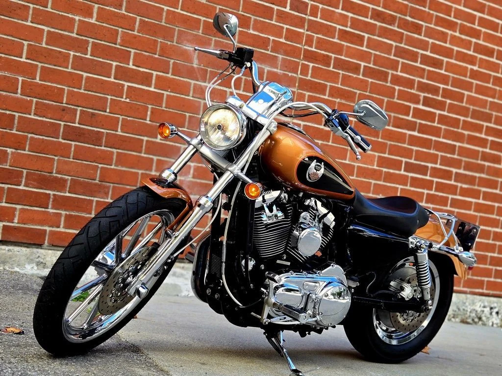 Harley Davidson XL 1200C Sportster Custom 105th Anniversary Edition (2008)
