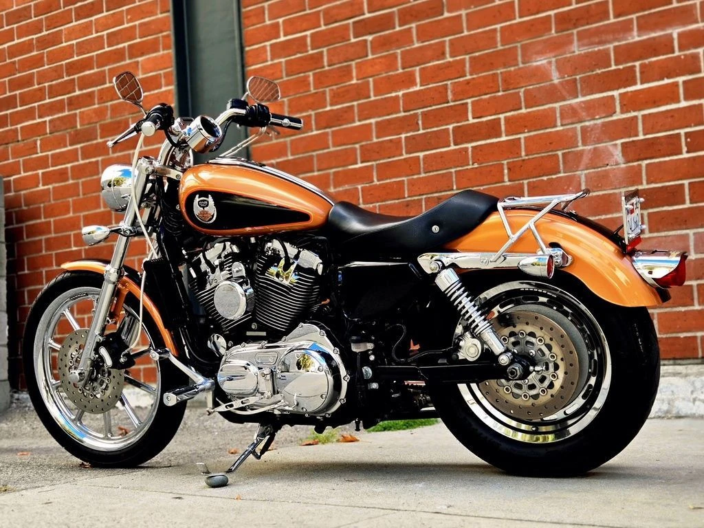 Harley Davidson XL 1200C Sportster Custom 105th Anniversary Edition (2008)