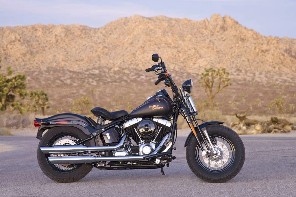 Harley Davidson FLSTSB Softail Cross Bones (2010 - 2011)