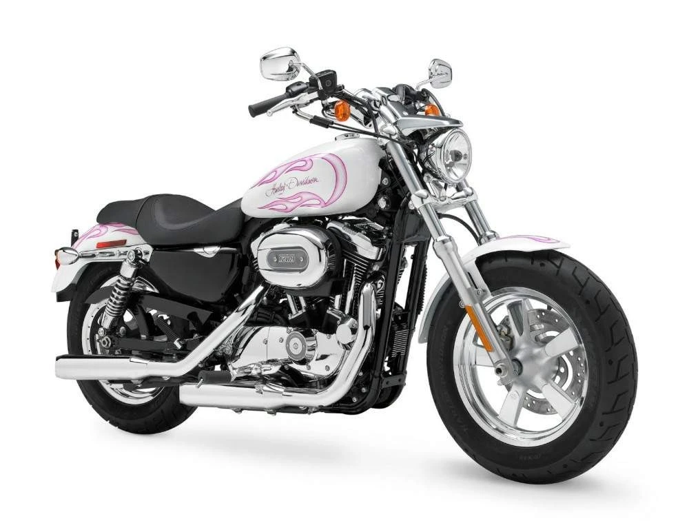 Harley Davidson XL 1200C Sportster Custom (2011 - 2012)