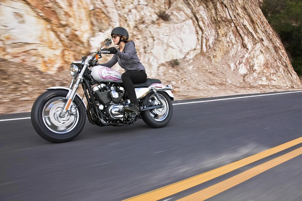 Harley Davidson XL 1200C Sportster Custom (2011 - 2012)