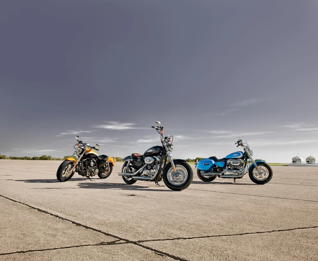 Harley Davidson XL 1200C Sportster Custom (2011 - 2012)