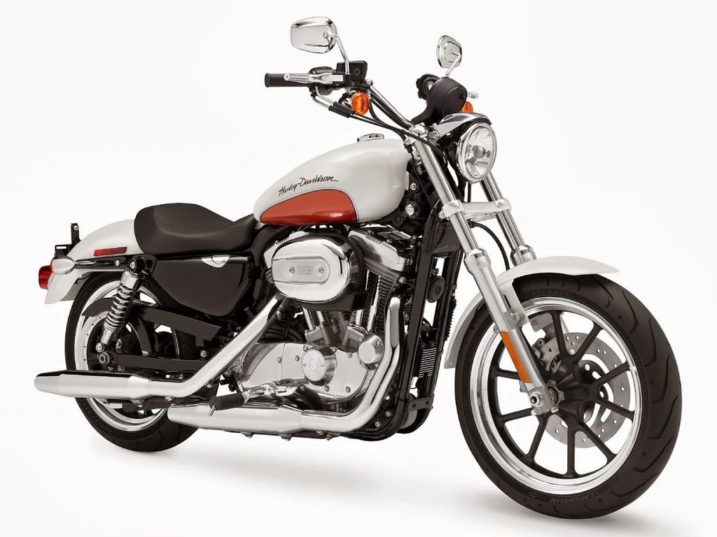 Harley Davidson XL 1200L Sportster Low (2010 - 2011)