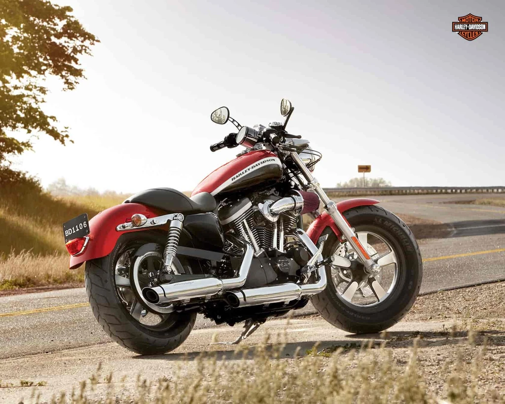 Harley Davidson XL 1200C Sportster Custom (2013)