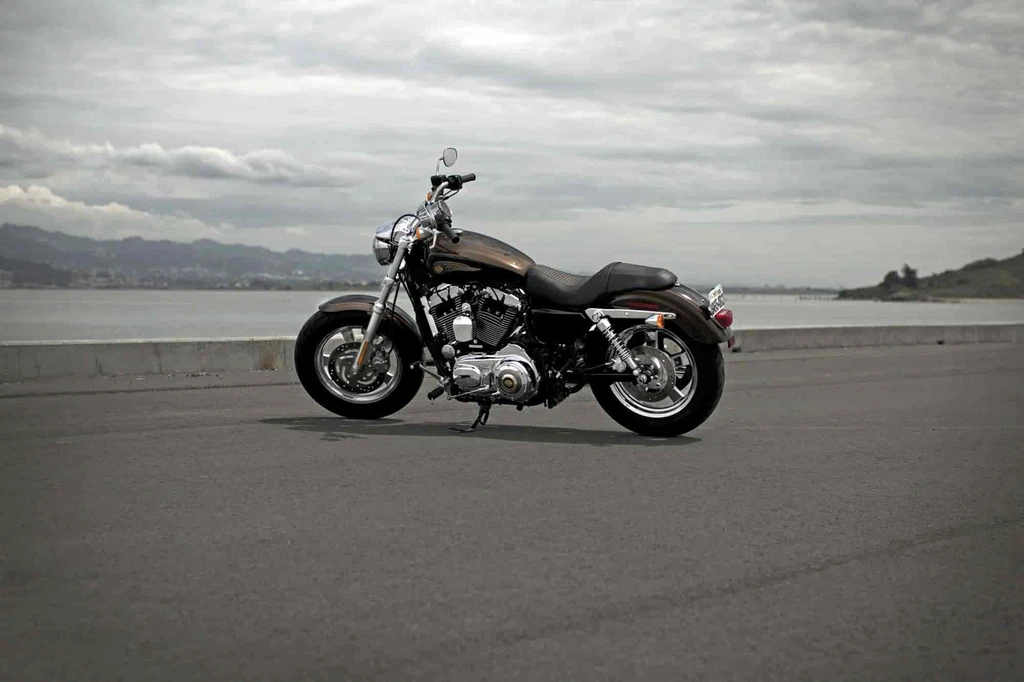 Harley Davidson XL 1200C Sportster Custom (2013)