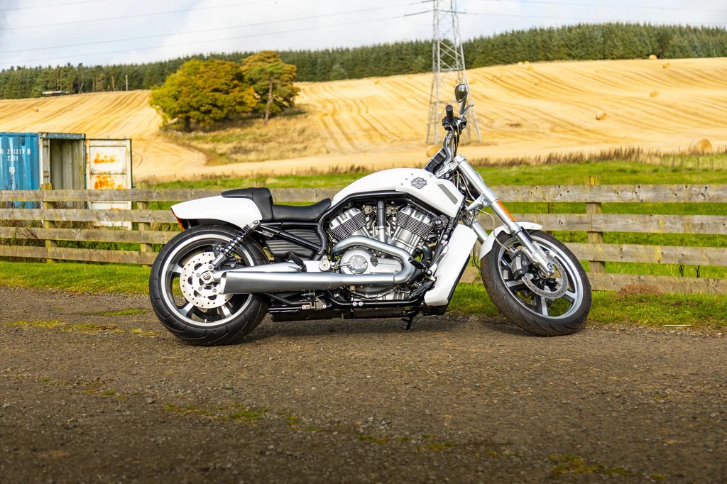 Harley Davidson VRSCF V-Rod Muscle (2013)