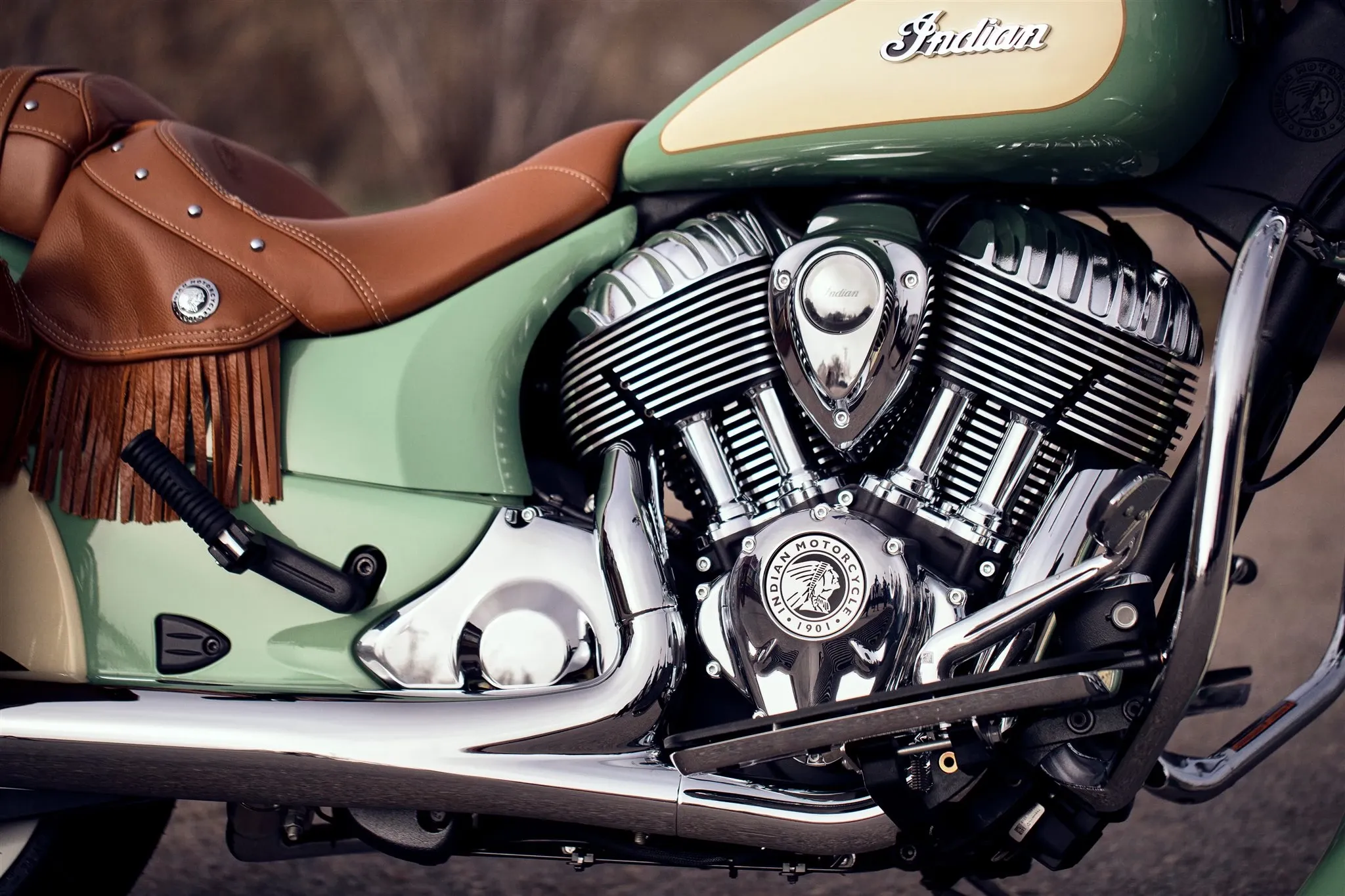 Indian ChiefVintage (2020)